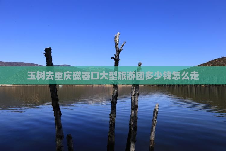 玉树去重庆磁器口大型旅游团