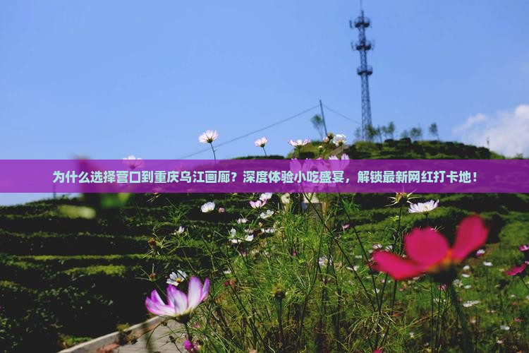 营口到重庆乌江画廊旅游小吃