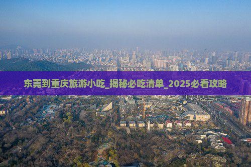 东莞到重庆旅游小吃