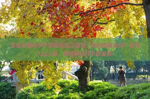 百色到重庆李子坝轻轨站三日游