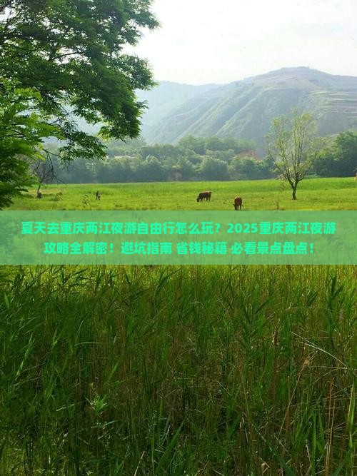 夏天去重庆两江夜游自由行