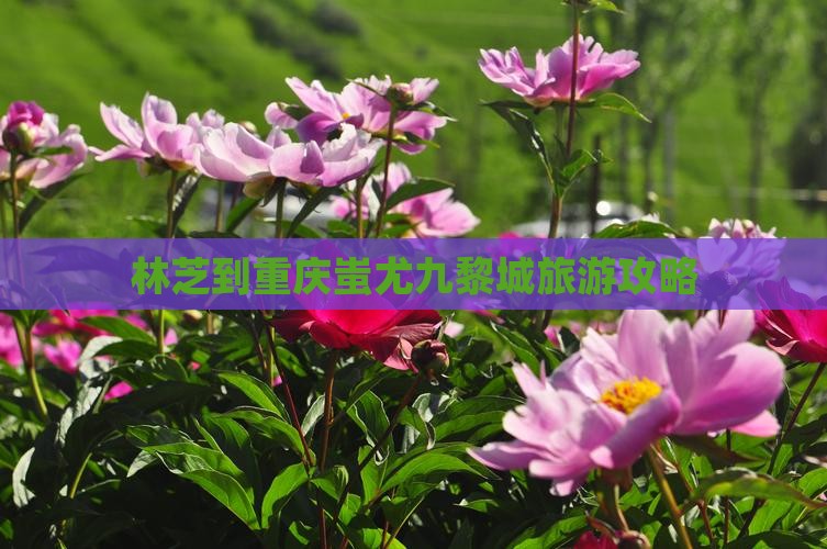 林芝去重庆蚩尤九黎城攻略