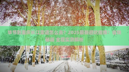 毕节到重庆长江索道攻略