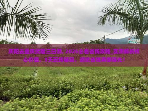 庆阳去重庆武隆三日游