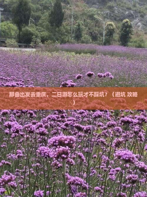 那曲去重庆二日游