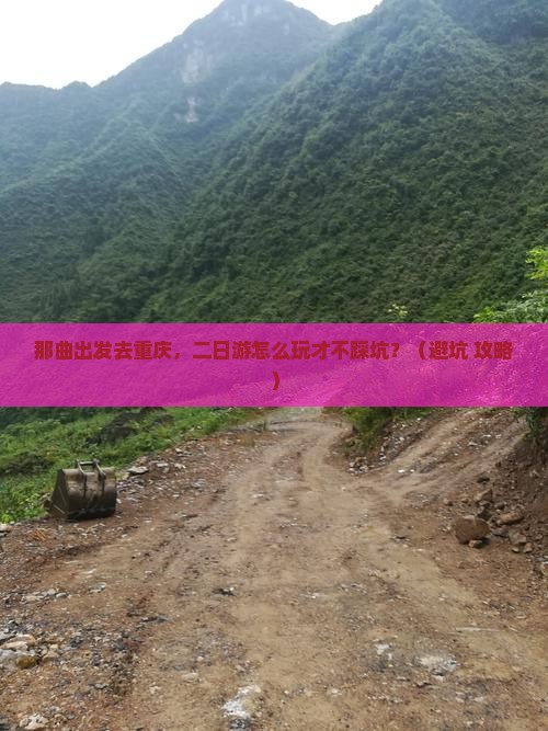 那曲去重庆二日游