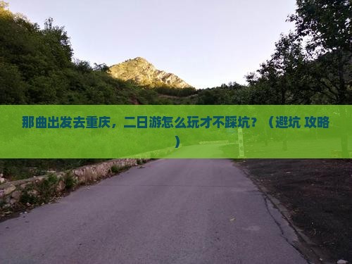 那曲去重庆二日游
