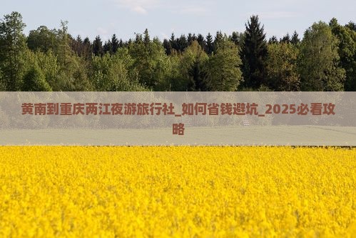 黄南到重庆两江夜游旅行社