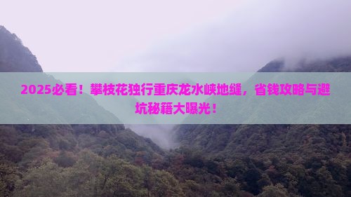 攀枝花去重庆龙水峡地缝个人游