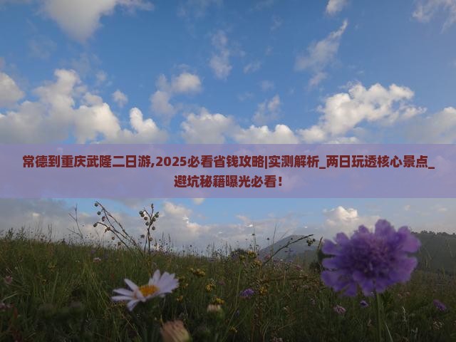 常德到重庆武隆二日游