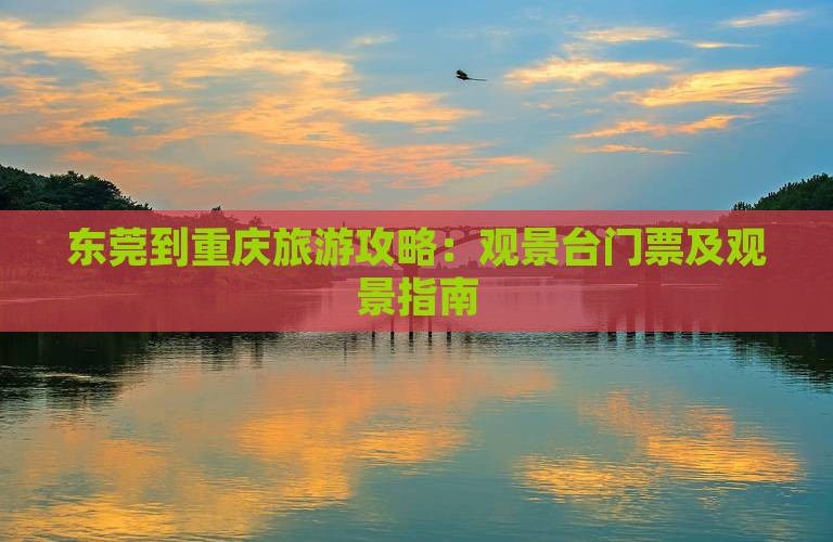 东莞到重庆wfc观景台门票