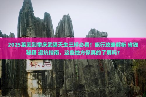 莱芜到重庆武隆天生三桥必去地