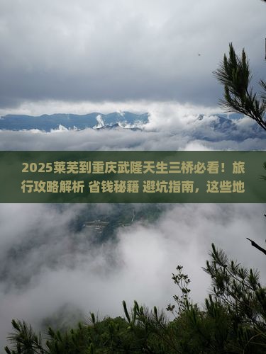 莱芜到重庆武隆天生三桥必去地