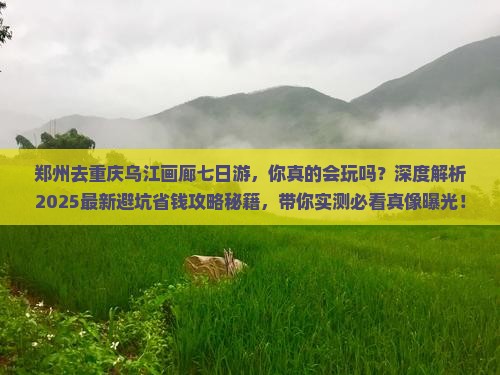 郑州去重庆乌江画廊七日游