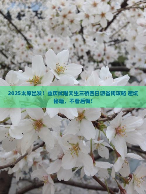 太原去重庆武隆天生三桥四日游