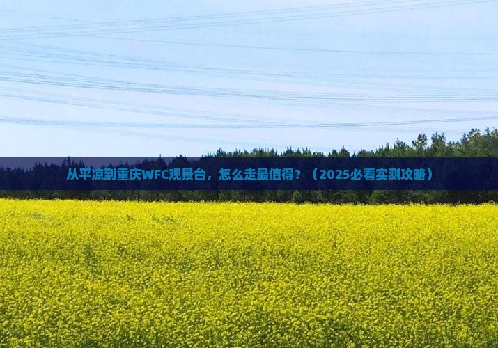 平凉去重庆wfc观景台必去地