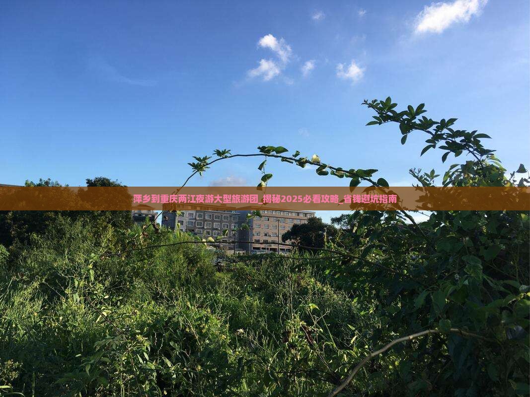 萍乡到重庆两江夜游大型旅游团