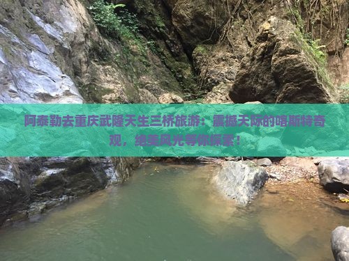 阿泰勒去重庆武隆天生三桥旅游