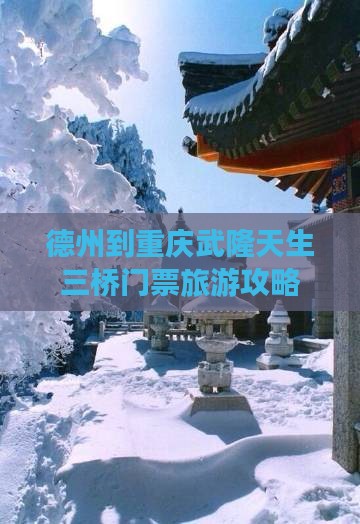 德州到重庆武隆天生三桥门票