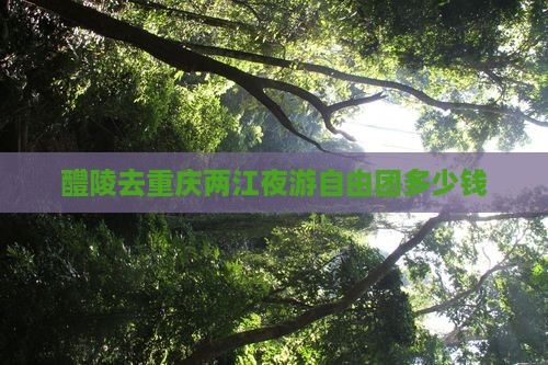 醴陵去重庆两江夜游自由团