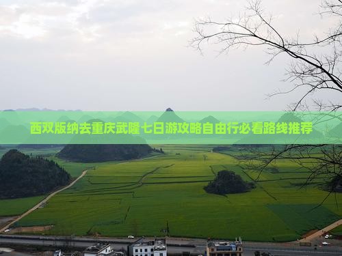 西双版纳去重庆武隆七日游