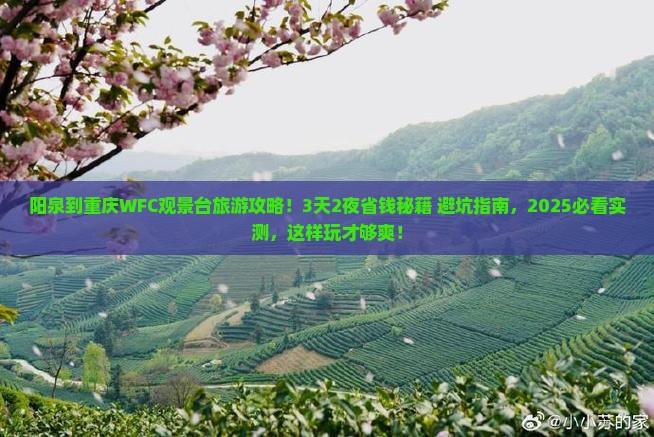阳泉到重庆wfc观景台旅游