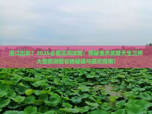 湛江到重庆武隆天生三桥大型旅游团