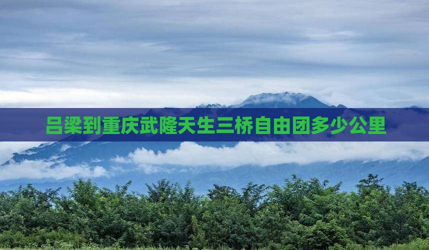 吕梁到重庆武隆天生三桥自由团