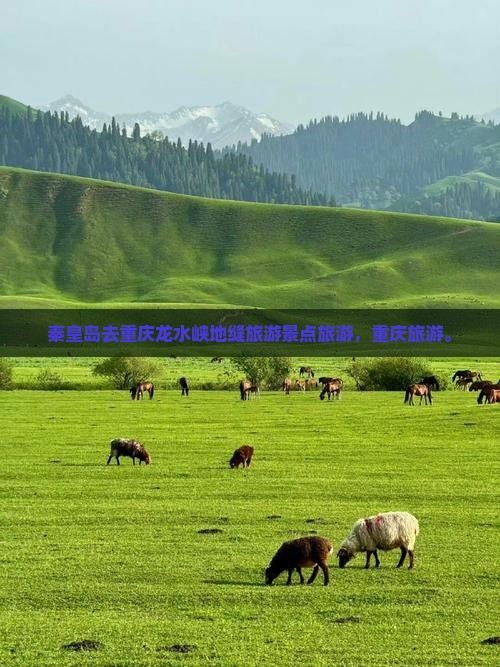 秦皇岛去重庆龙水峡地缝旅行社