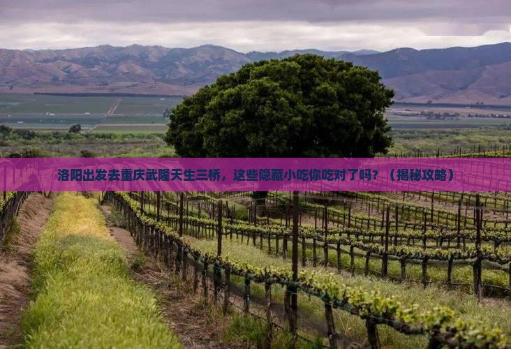 洛阳去重庆武隆天生三桥旅游小吃