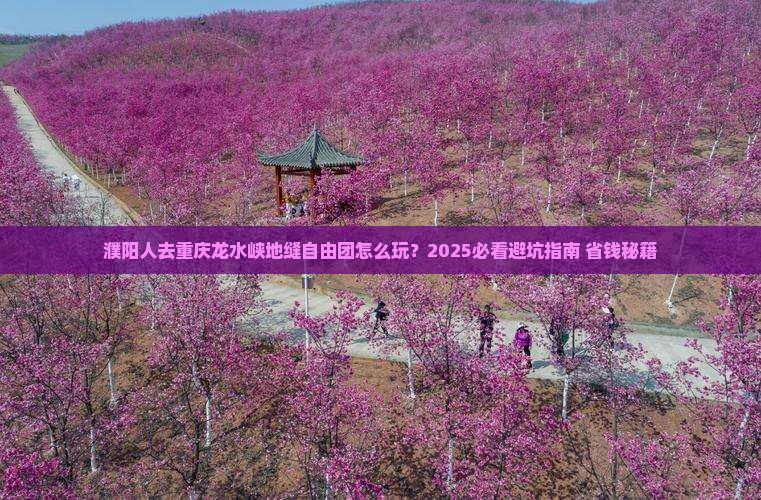 濮阳去重庆龙水峡地缝自由团
