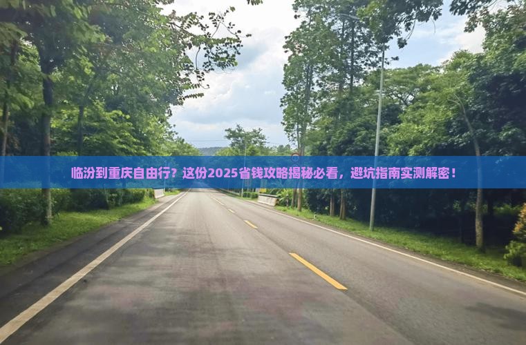 临汾到重庆自由团