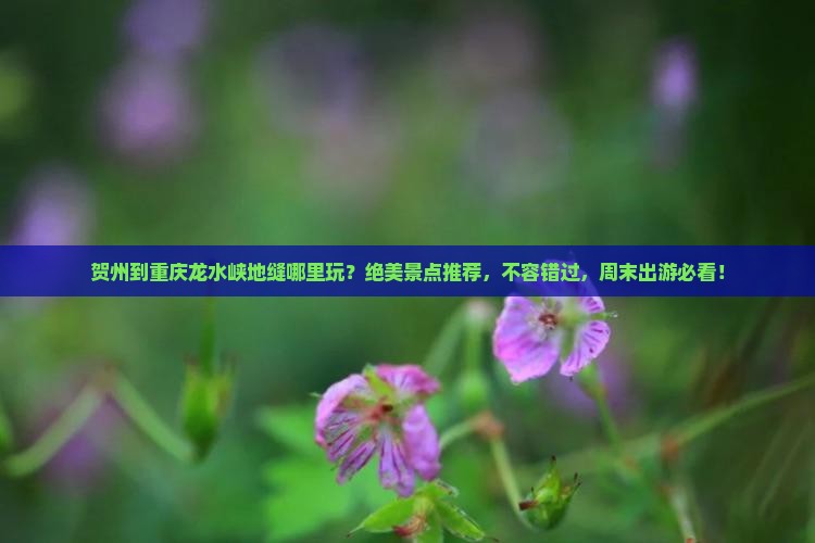 贺州到重庆龙水峡地缝哪里玩