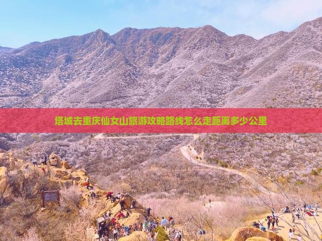 塔城去重庆仙女山旅游 塔城去重庆仙女山旅游