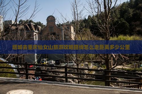 塔城去重庆仙女山旅游 塔城去重庆仙女山旅游
