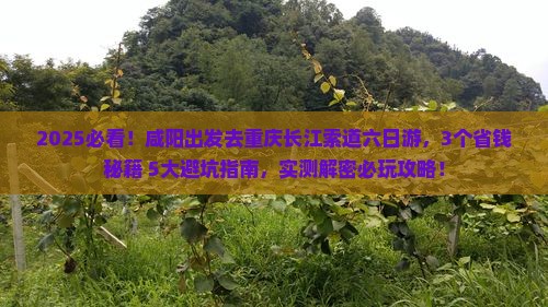 咸阳去重庆长江索道六日游