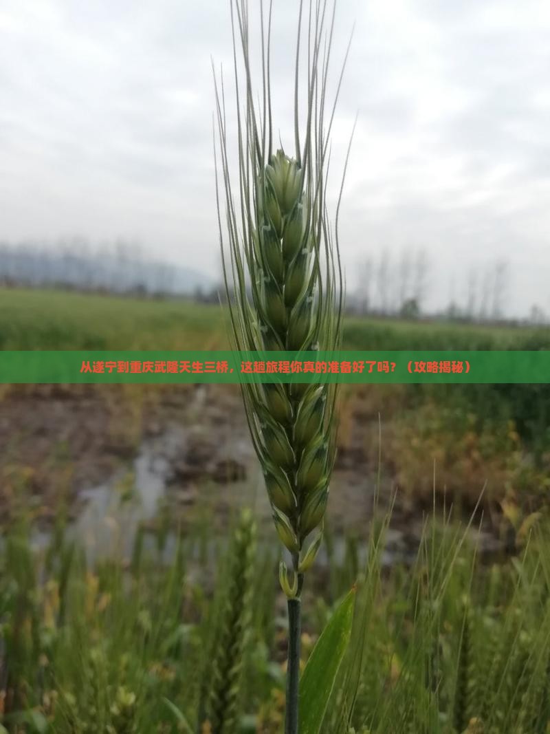 遂宁到重庆武隆天生三桥景点