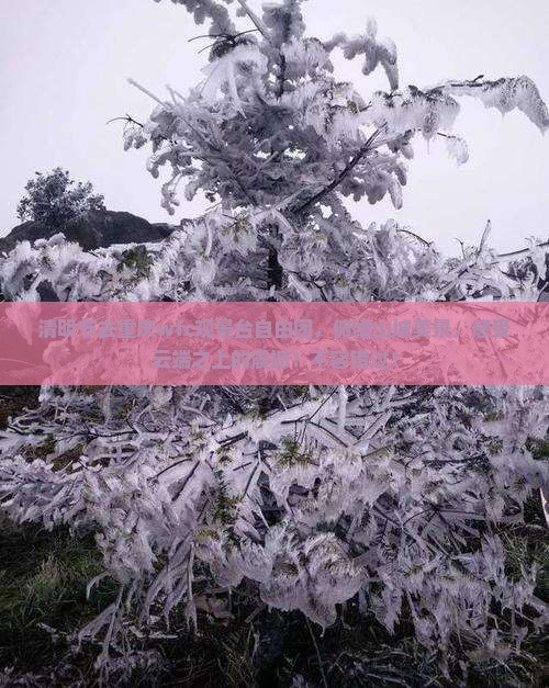 清明节去重庆wfc观景台自由团