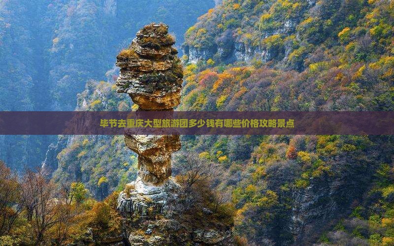 毕节去重庆大型旅游团