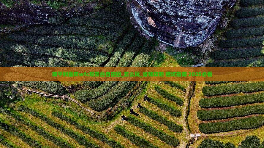 南平到重庆wfc观景台自由团