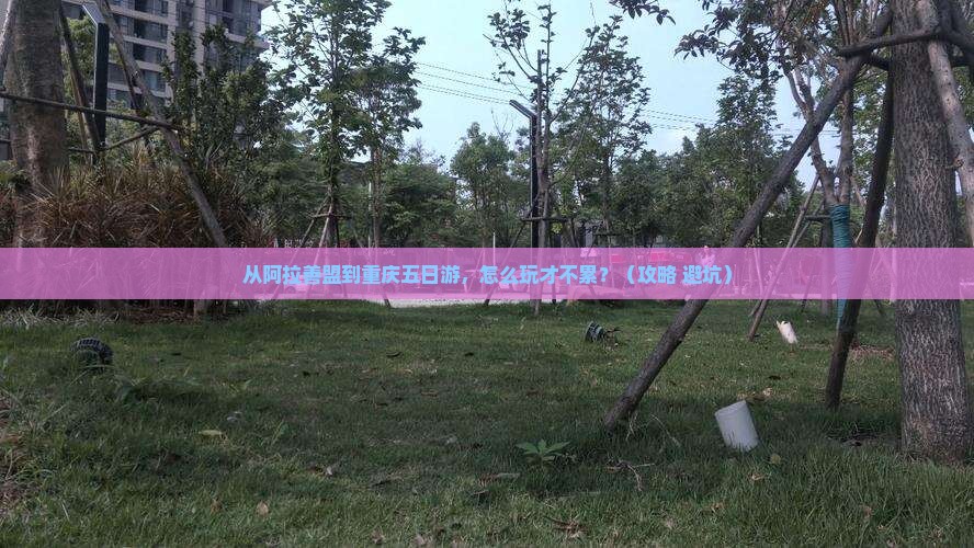 阿拉善盟到重庆五日游