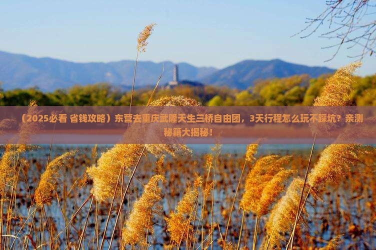 东营去重庆武隆天生三桥自由团
