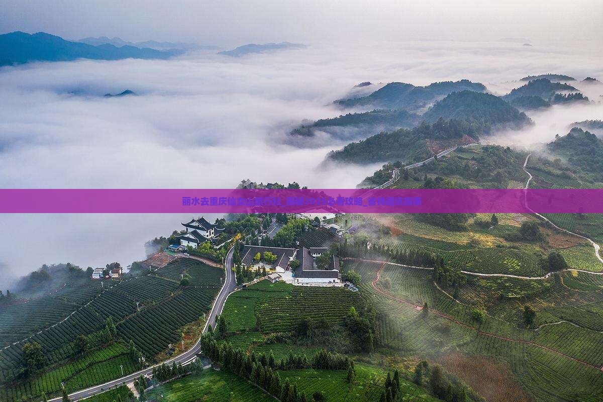 丽水去重庆仙女山旅行社