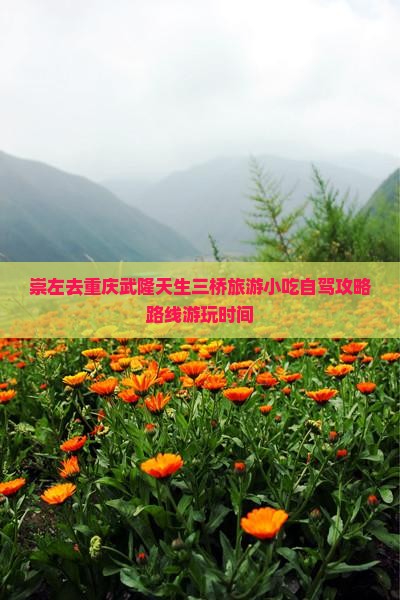 崇左去重庆武隆天生三桥旅游小吃