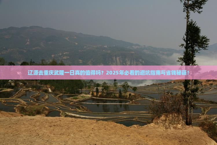 辽源去重庆武隆一日