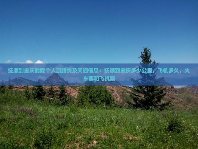 抚顺到重庆武隆个人游