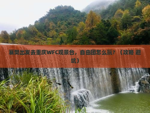 襄樊去重庆wfc观景台自由团