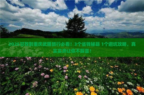 甘孜到重庆武隆旅行社