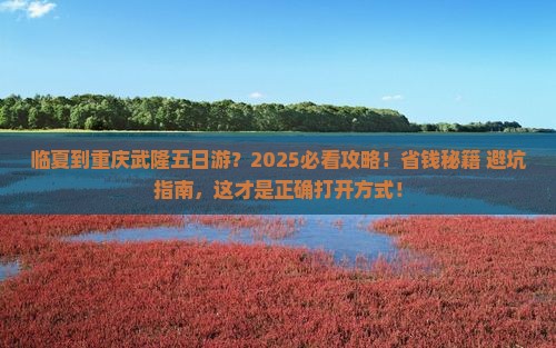 临夏到重庆武隆五日游