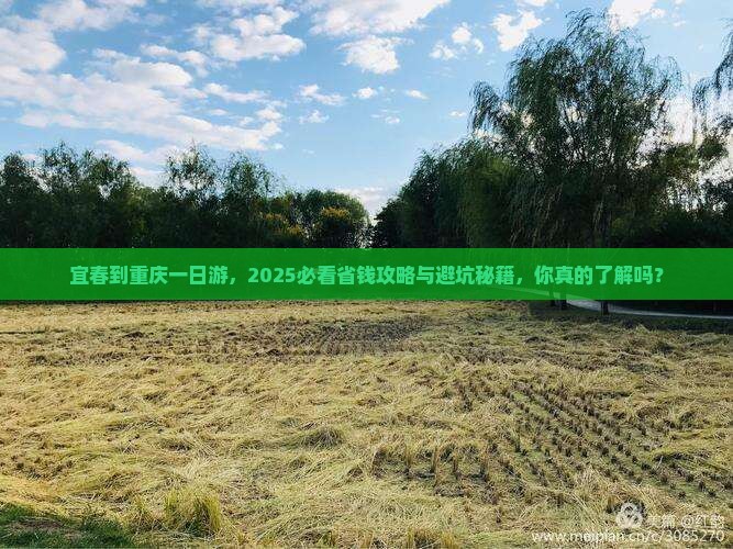 宜春到重庆一日